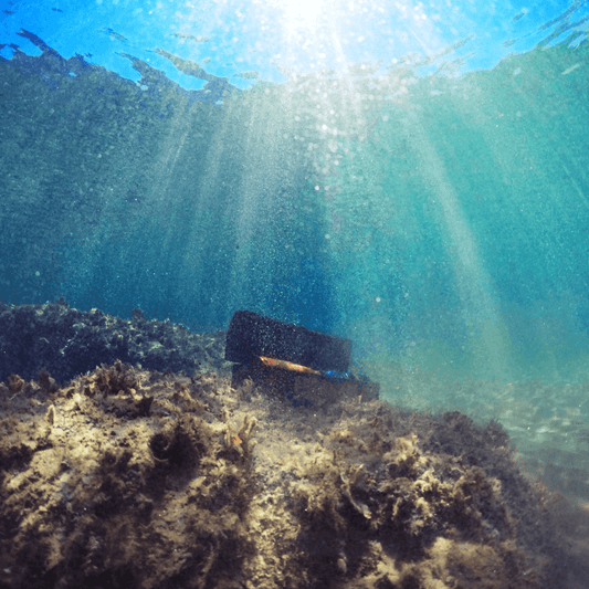 Sparkling Treasures from the Deep: How Seafaring Jewelry Embodies Your Oceanic Odyssey - DiveSilver Jewelry