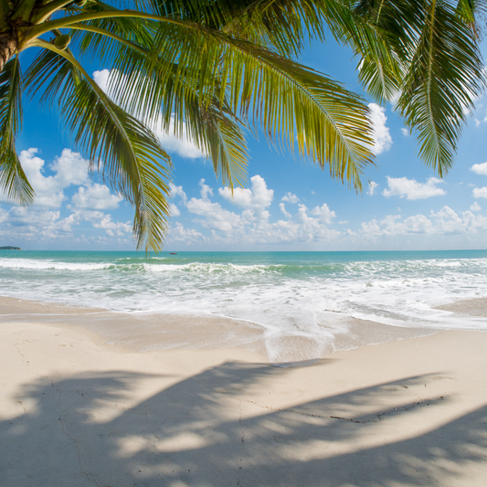 Beach Jewelry: Add Coastal Elegance to Your Summer Look