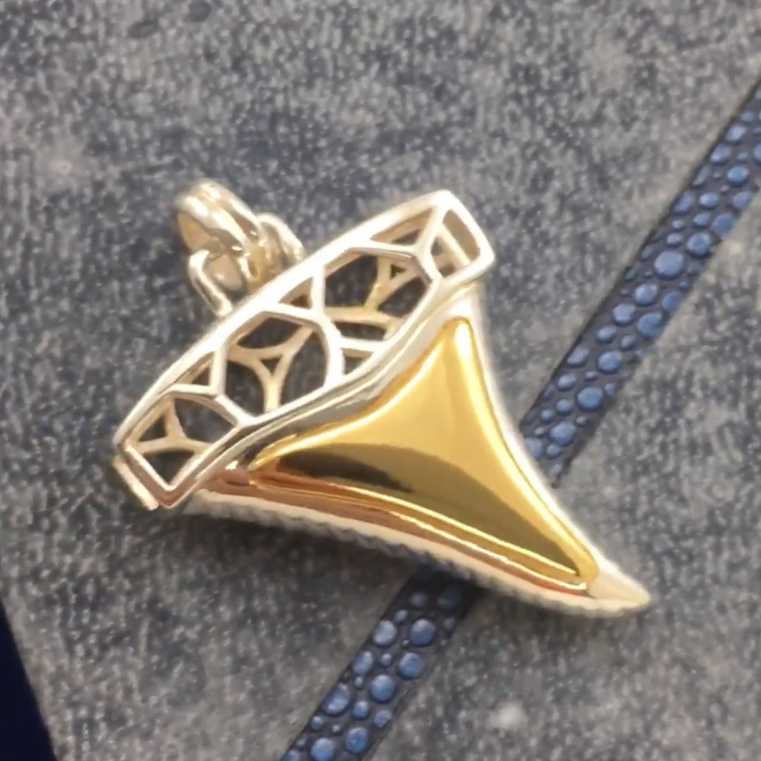 Window to Universe Shark Tooth Silver and Gold Pendant