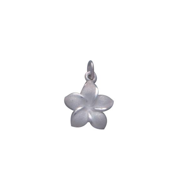 Plumeria - Hawaii National Flower Silver ฺCharm TC904